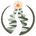 organisensformation – Accueil